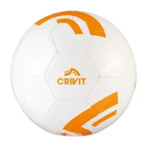 Ballon de football, de volley-ball ou de basket-ball