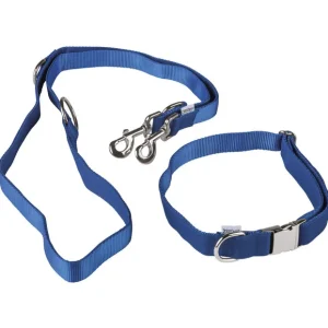 Collier pour chien avec laisse — SKU 4UGI3Q2BMAA0BNO2