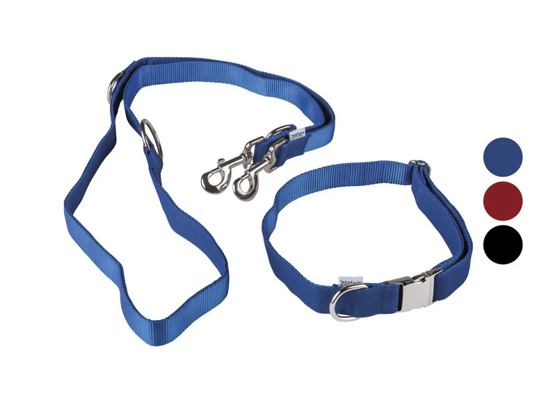 Collier pour chien avec laisse — SKU 4UGI3Q2BMAA0BNO2