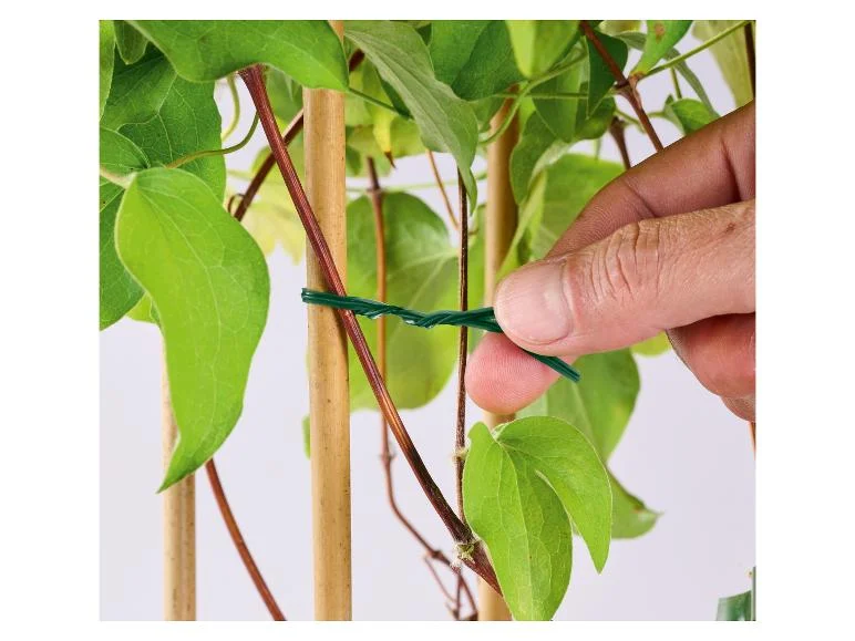 Set de supports ou fils pour plantes - Image 12