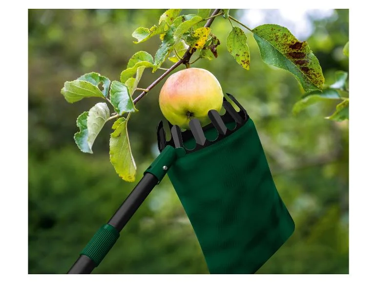 Cueille-fruits ou Rouleau ramasse-noix - Image 13