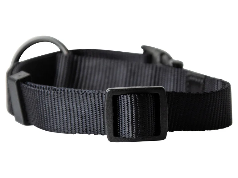 Collier avec laisse - Image 12