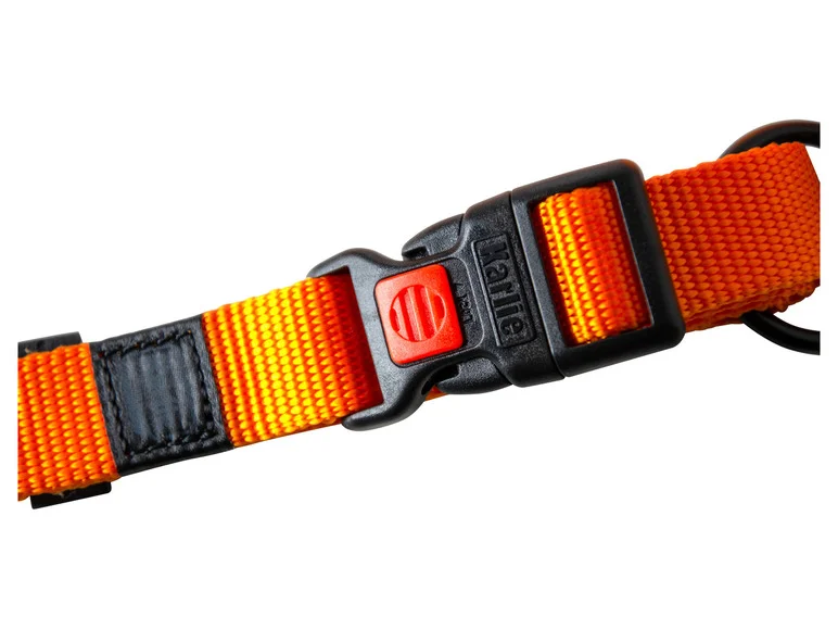 Collier avec laisse - Image 30
