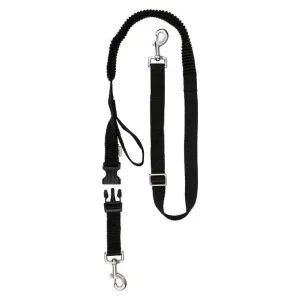 Laisse ou Collier avec laisse pour chien