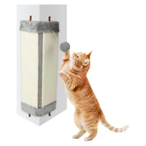 Griffoir(s) pour chat