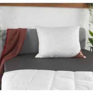 Oreiller en plumes et duvet Royal