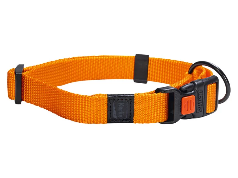 Collier avec laisse - Image 26