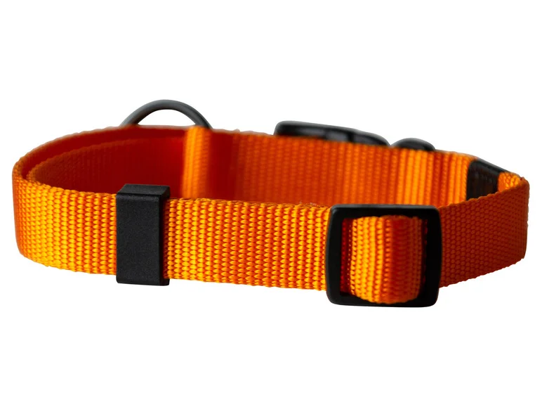 Collier avec laisse - Image 19