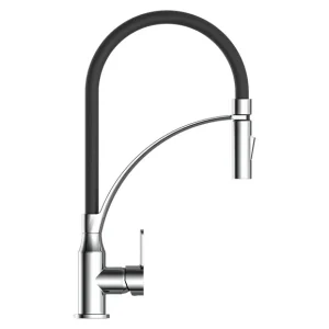 Robinet d'évier cuisine avec douche à vaisselle et tuyau interchangeable