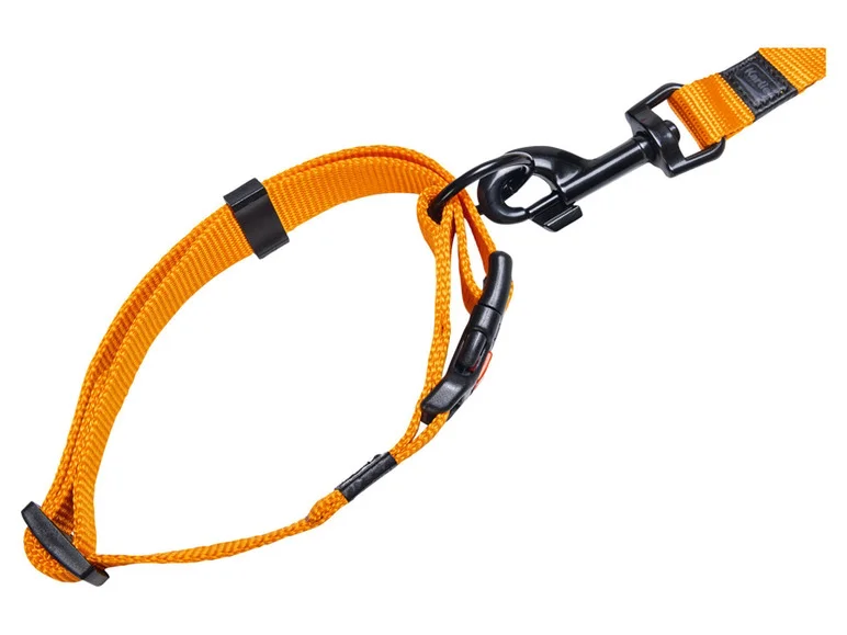 Collier avec laisse - Image 33