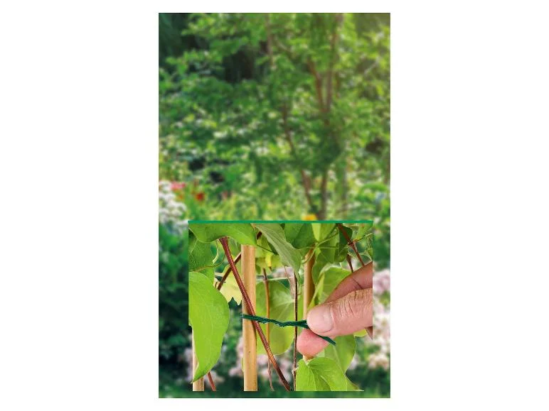 Set de supports ou fils pour plantes - Image 11