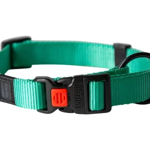 Collier et laisse pour chien
