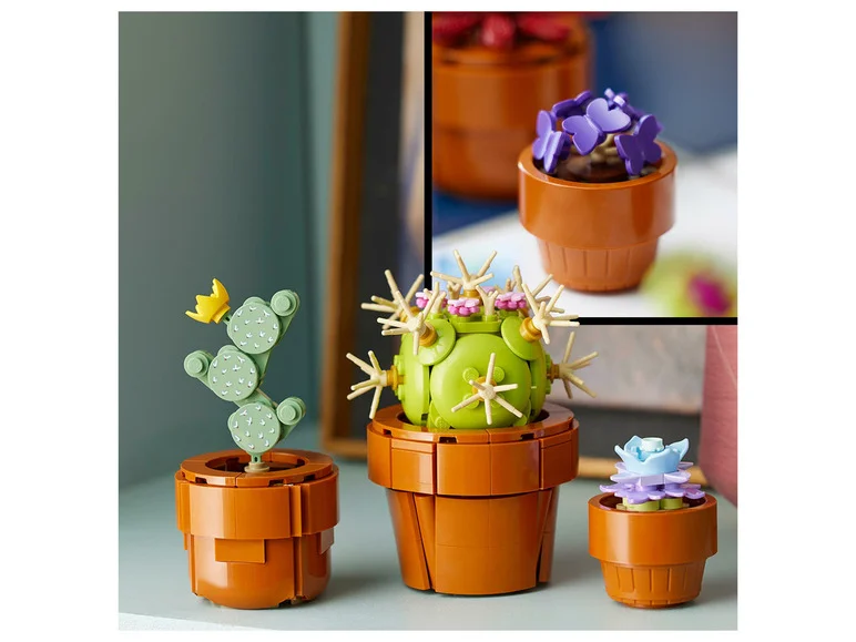 10329 Les Plantes Miniatures - Image 6