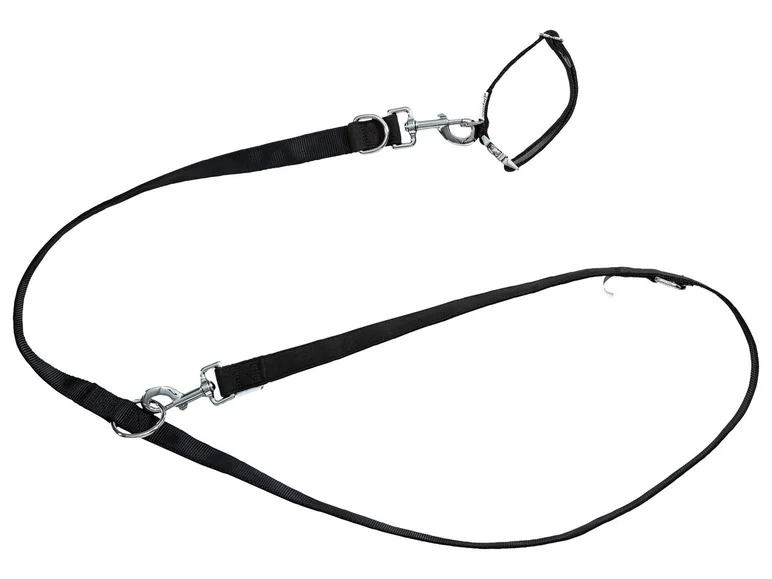 Collier et laisse pour chiens - Image 4